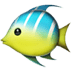:tropical_fish: :tropical_fish:
