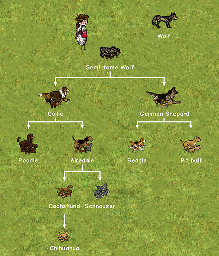 Dogs-Family-Tree